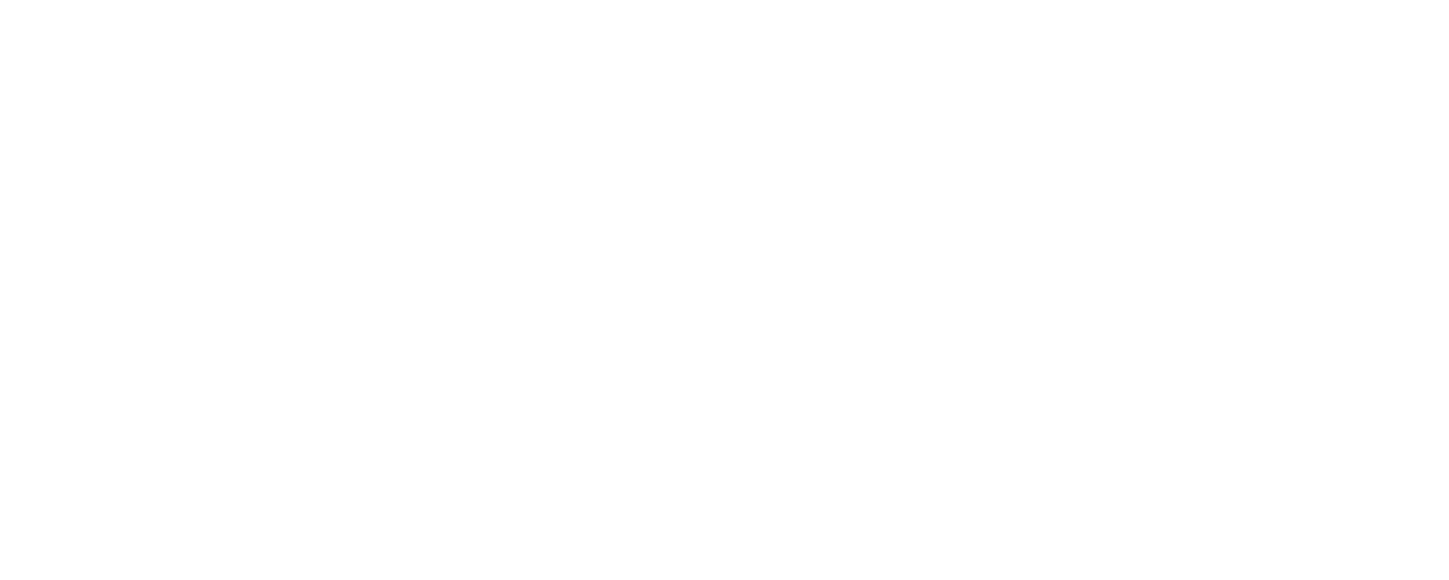 echo logo