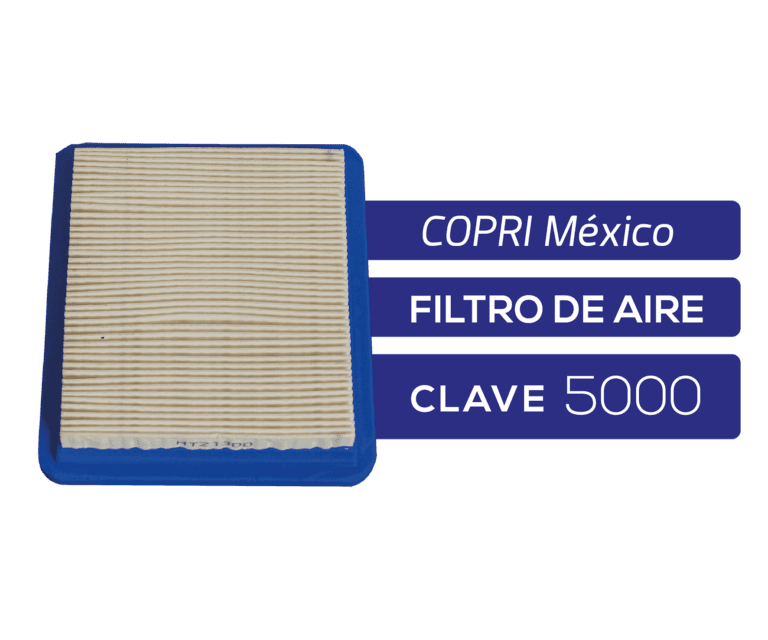 FILTRO DE AIRE BRIGGS PODADORA 4 A 6HP